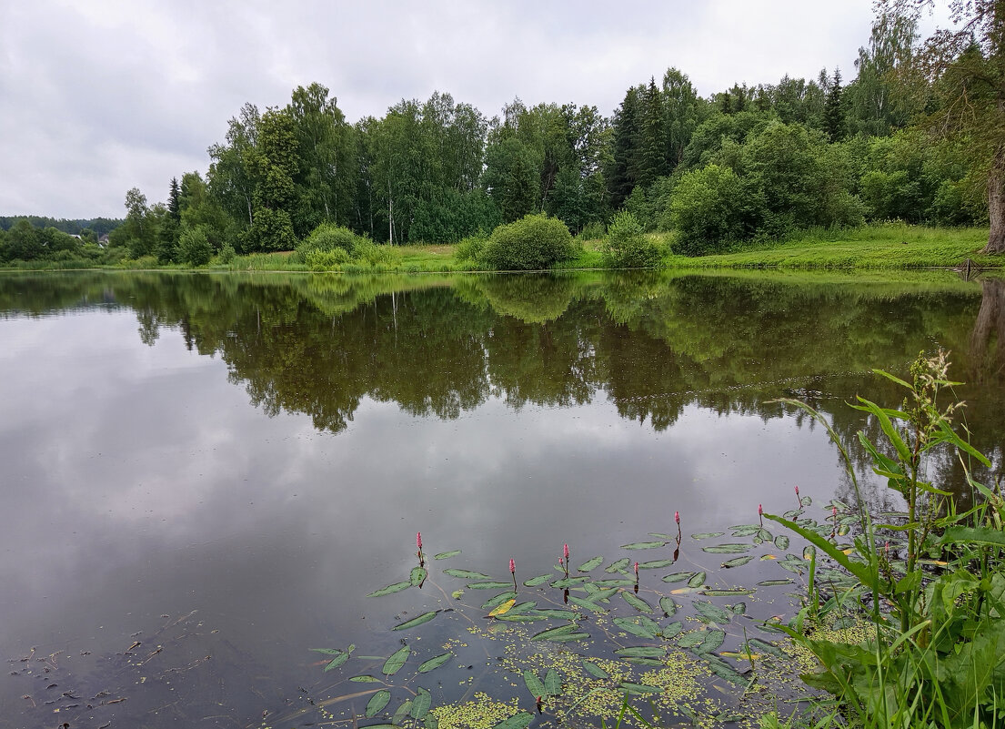 1 июля - Алена 