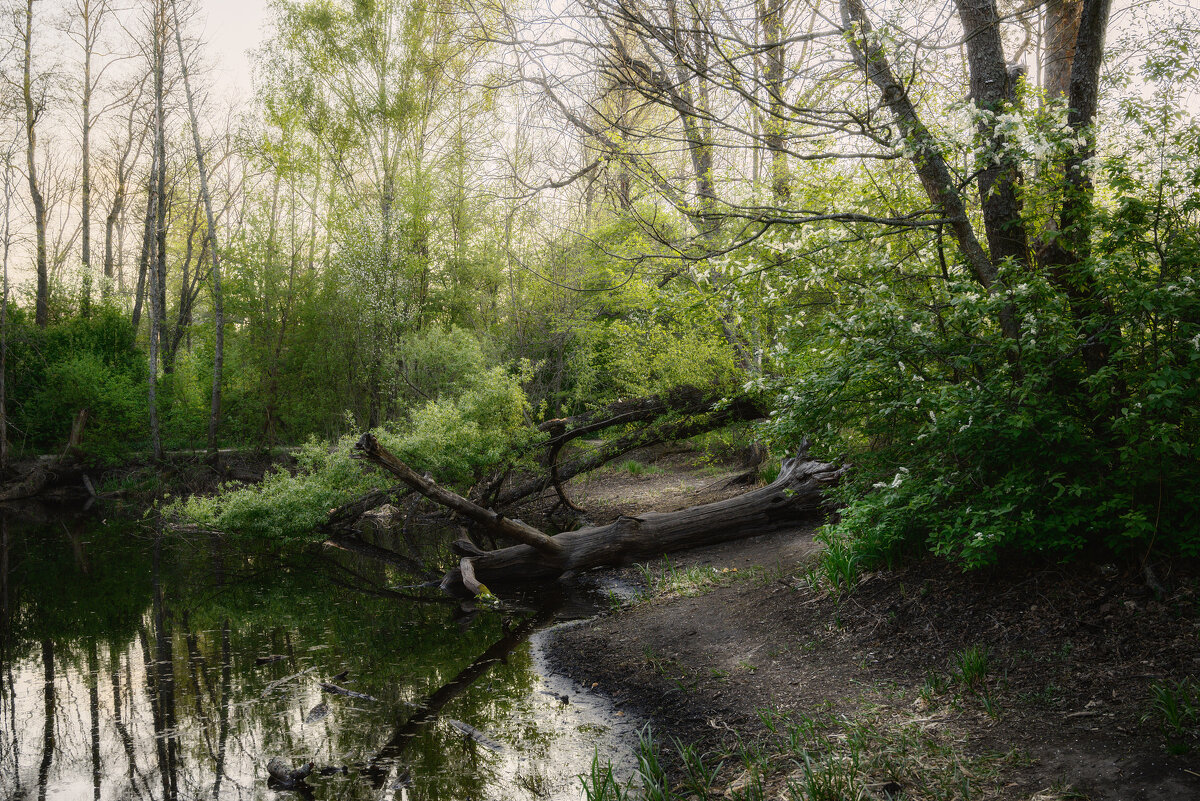 Весна на озере Тортиллы - Валерий VRN