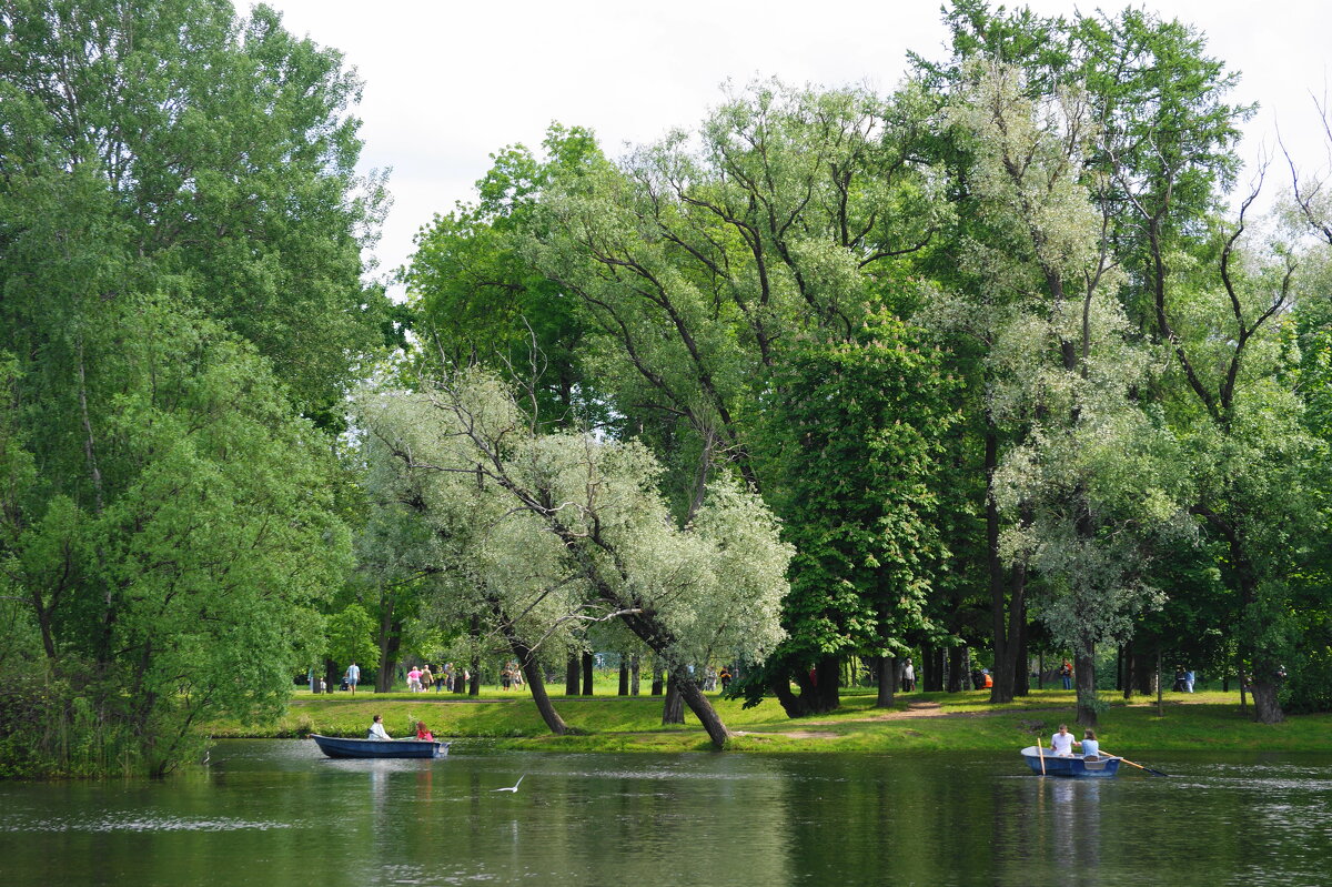 Пруд. Парк Победы. - Виктор Никитенко