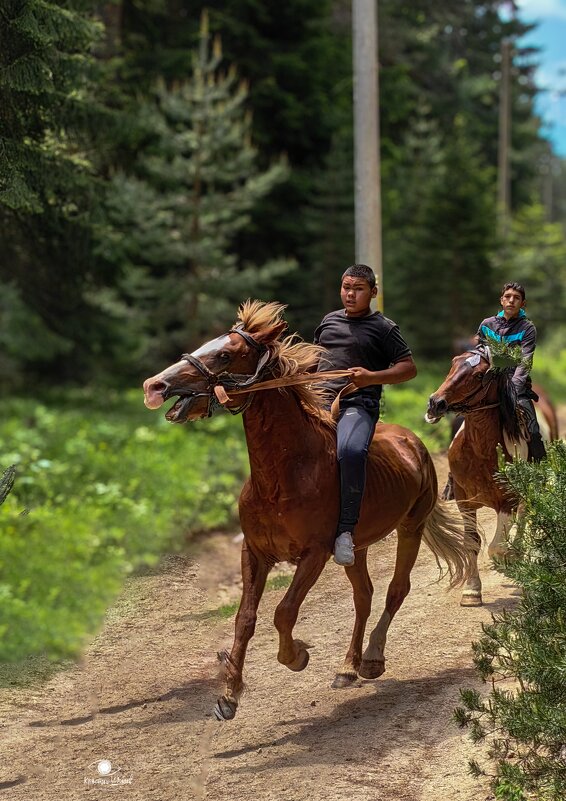 В горе... - Кръстьо Шилев