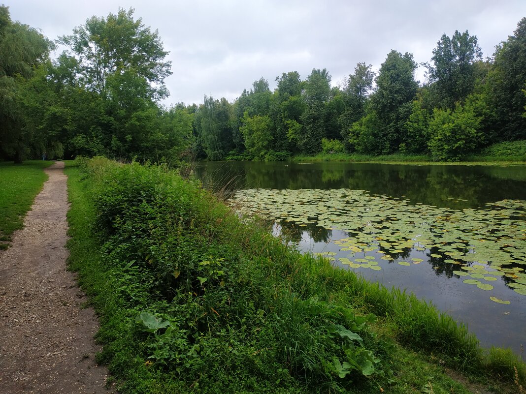 Июль уж наступил! - Андрей Лукьянов