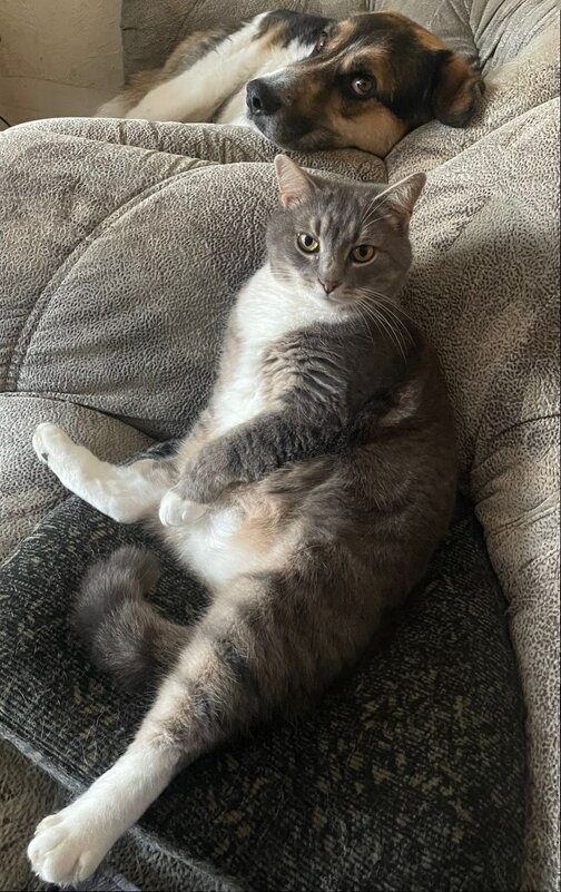 Все вакантные места заняты) - Ирина *