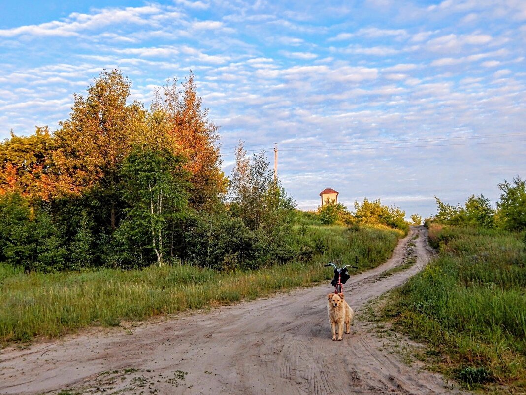 Дороги, зовущие в путь! - Елена Хайдукова  ( Elena Fly )