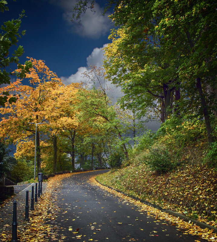 Дорога в осень - Андроник Александр Дорога в осень - Андроник Александр