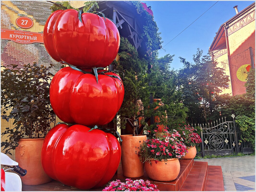 Помидоры Барахольщика. - Валерия Комова