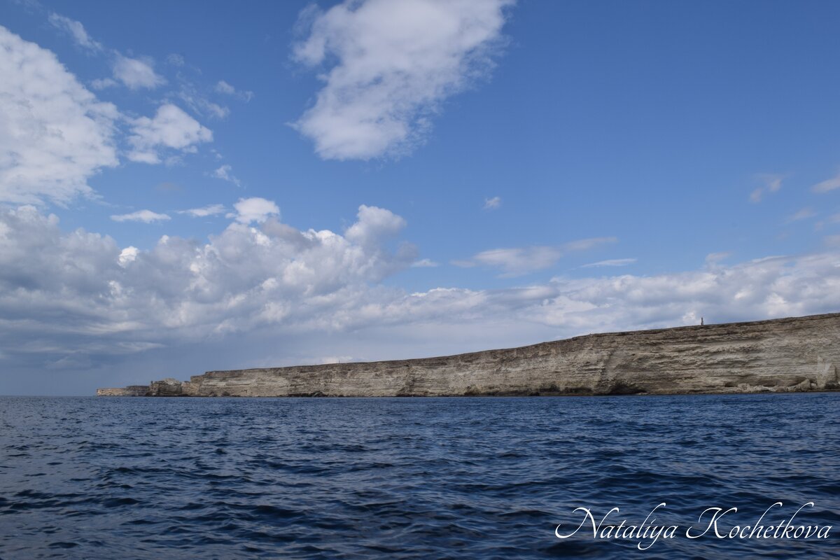 Природа Крыма - Amazing Cosmea Природа Крыма - Amazing Cosmea