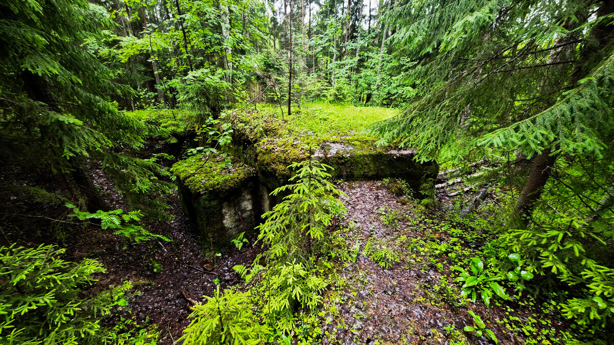 Эхо войны... - Станислав Мутовин