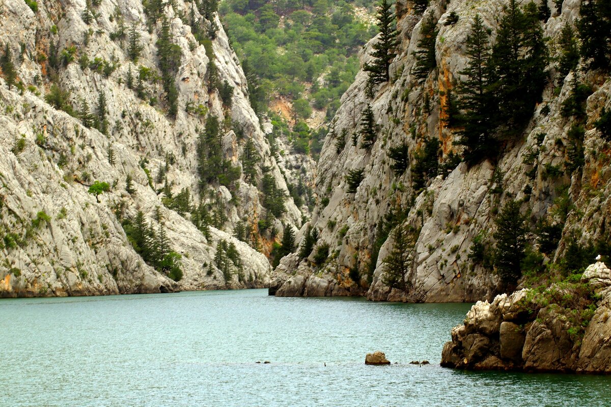 Среди скал - Юрий. Шмаков Среди скал - Юрий. Шмаков