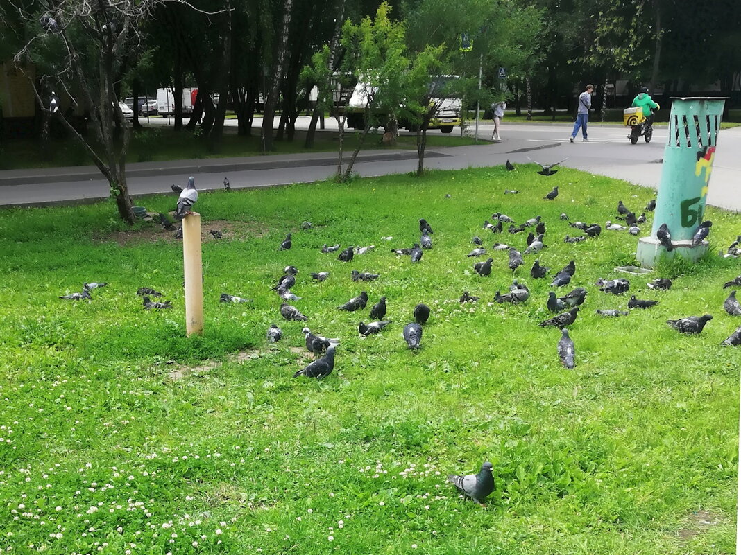 Московские будни. - Ольга Довженко Московские будни. - Ольга Довженко