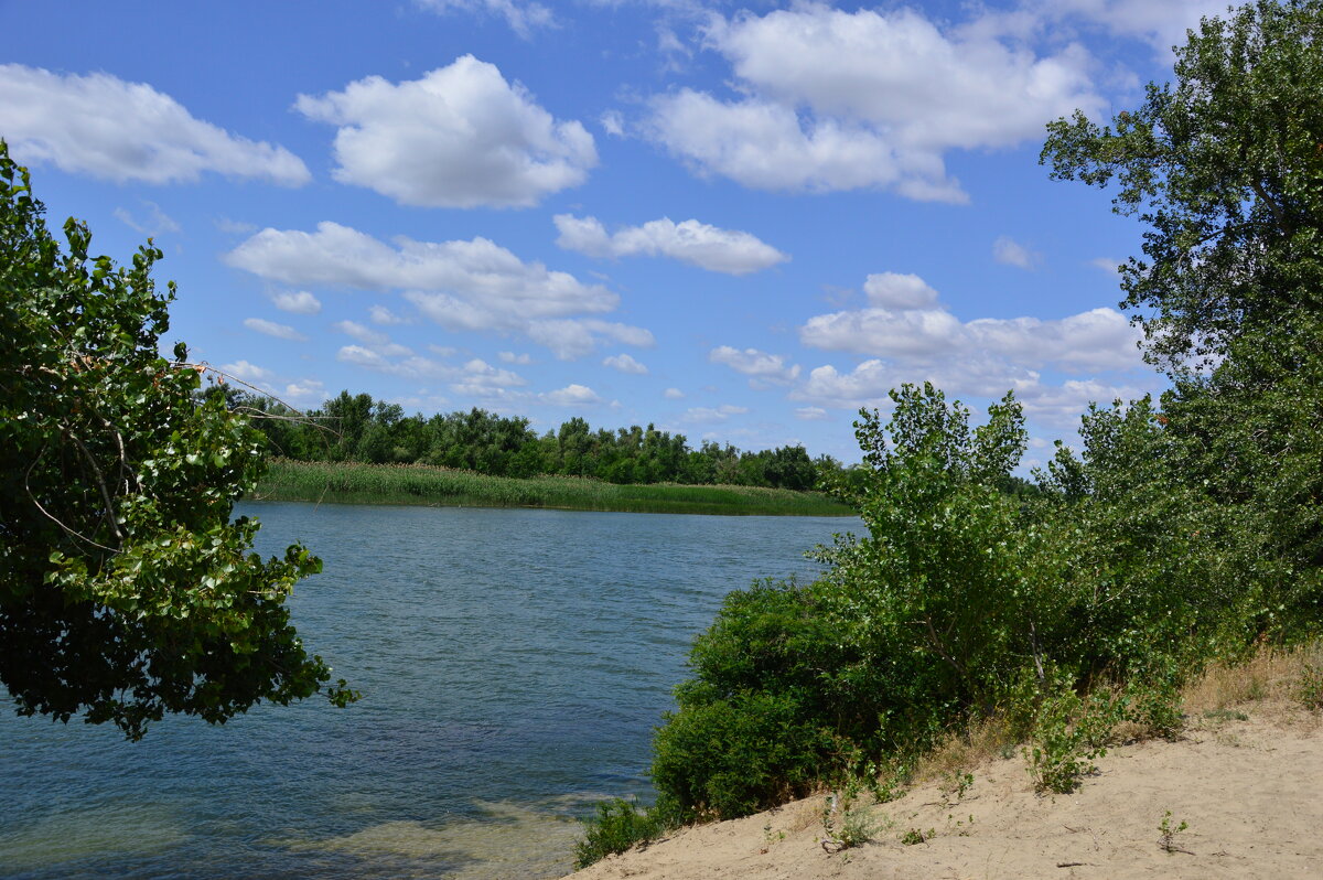 Местные виды. - Виктор 