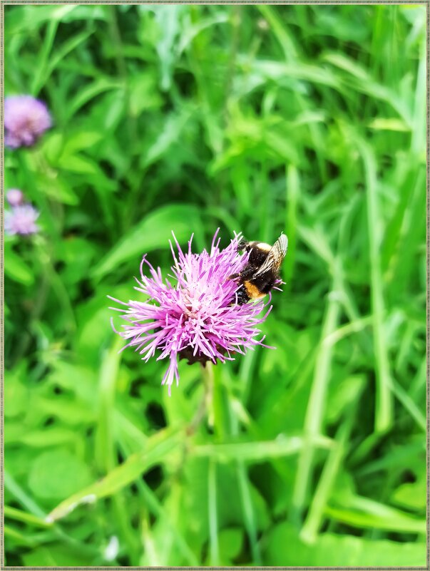 Маленькая жизнь - Татьяна Осипова(Deni2048)