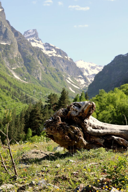 Великан не пробегал? - Александр Кондаков Великан не пробегал? - Александр Кондаков