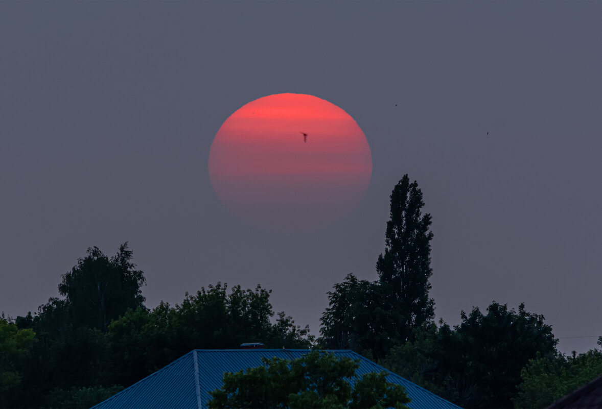 закат - Виталий Емельянов