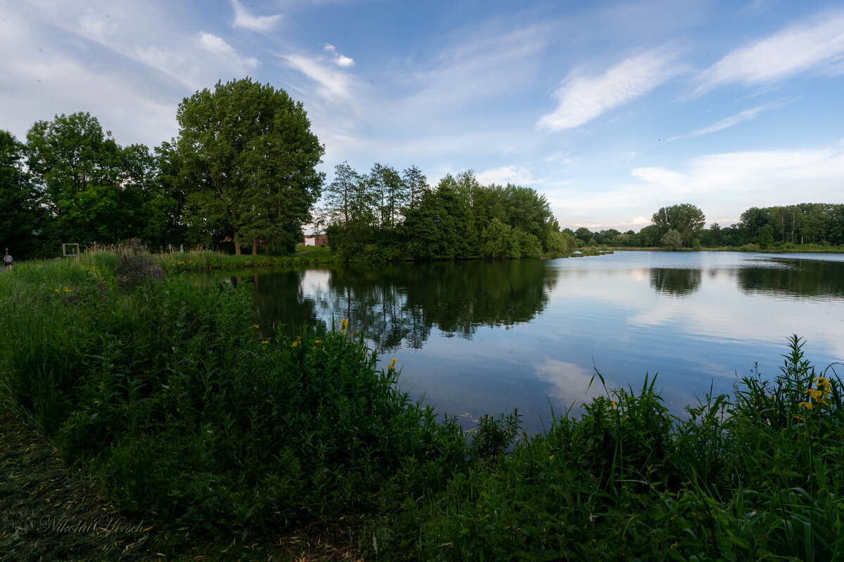 Озеро в мае... - Николай Гирш