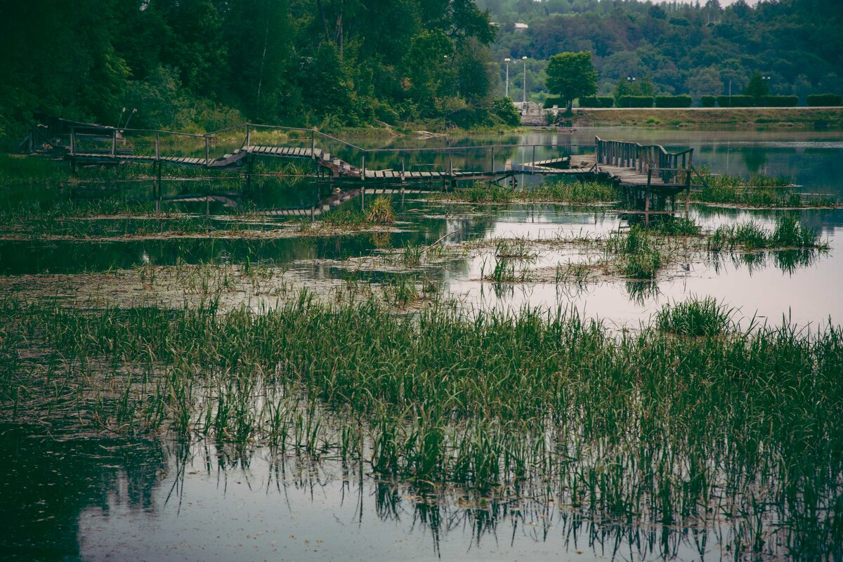 Плёс. Май 2025 - Вячеслав Владимирович
