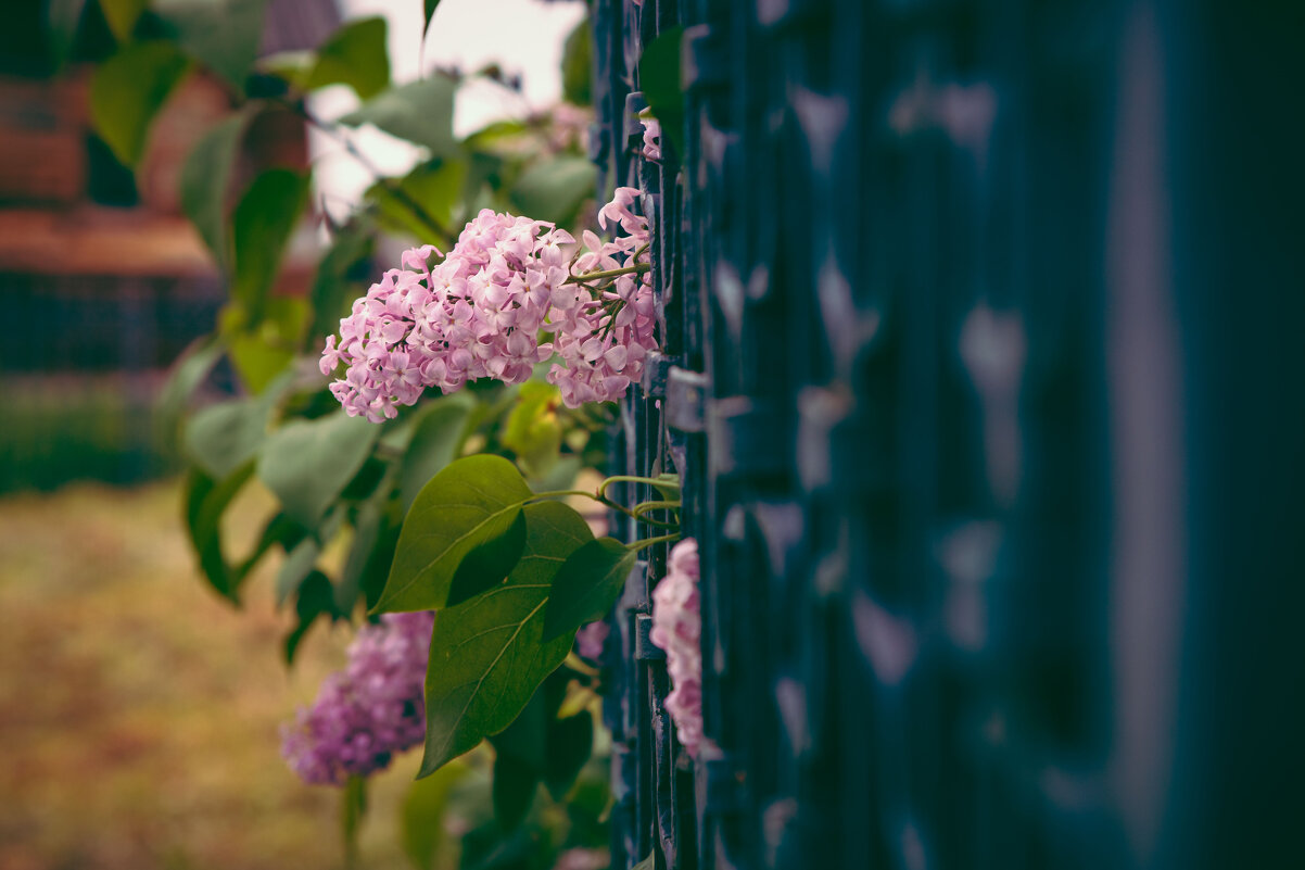 Плёс. Май 2025 - Вячеслав Владимирович