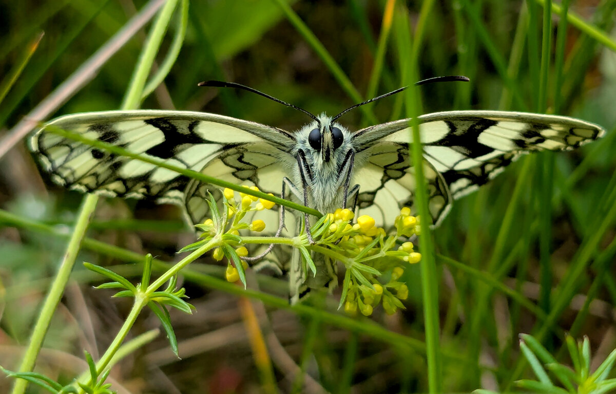 Из снятого сегодня  1 - Александр Прокудин