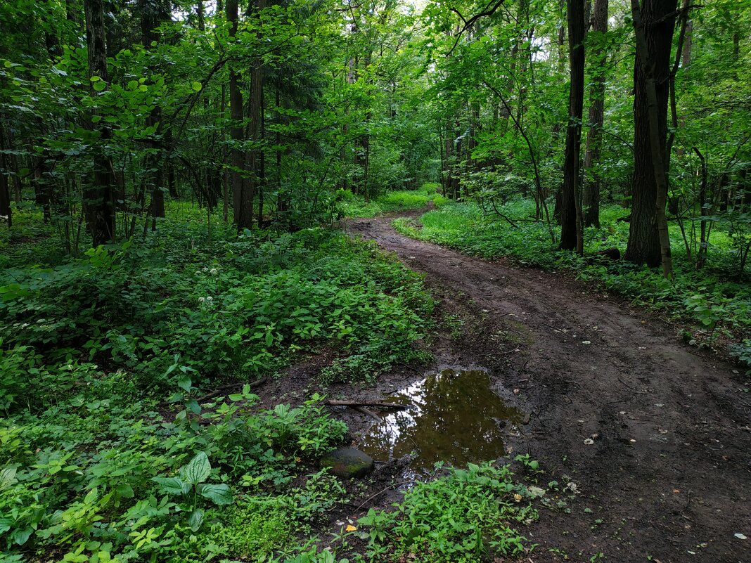 Июль наступил. Осталось дождаться наступления лета - Андрей Лукьянов Июль наступил. Осталось дождаться наступления лета - Андрей Лукьянов