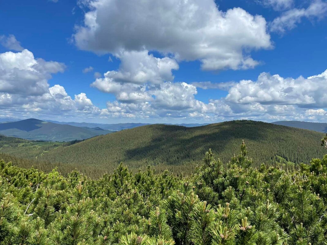 ранкові Карпати - Степан Карачко