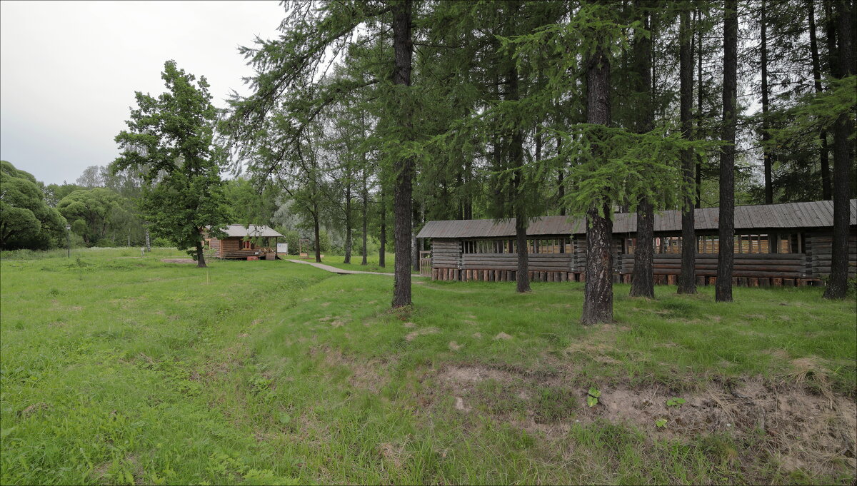 Богословка. Невский лесопарк - Александр Алексеенко Богословка. Невский лесопарк - Александр Алексеенко