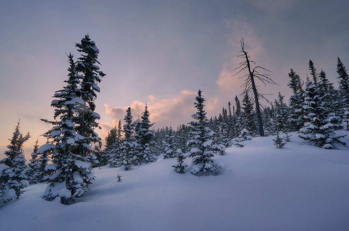 * - Александр Иванов