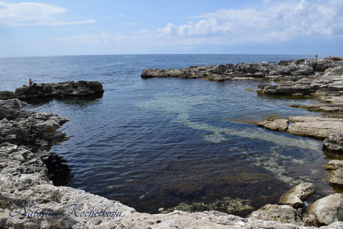 Природа Крыма - Amazing Cosmea