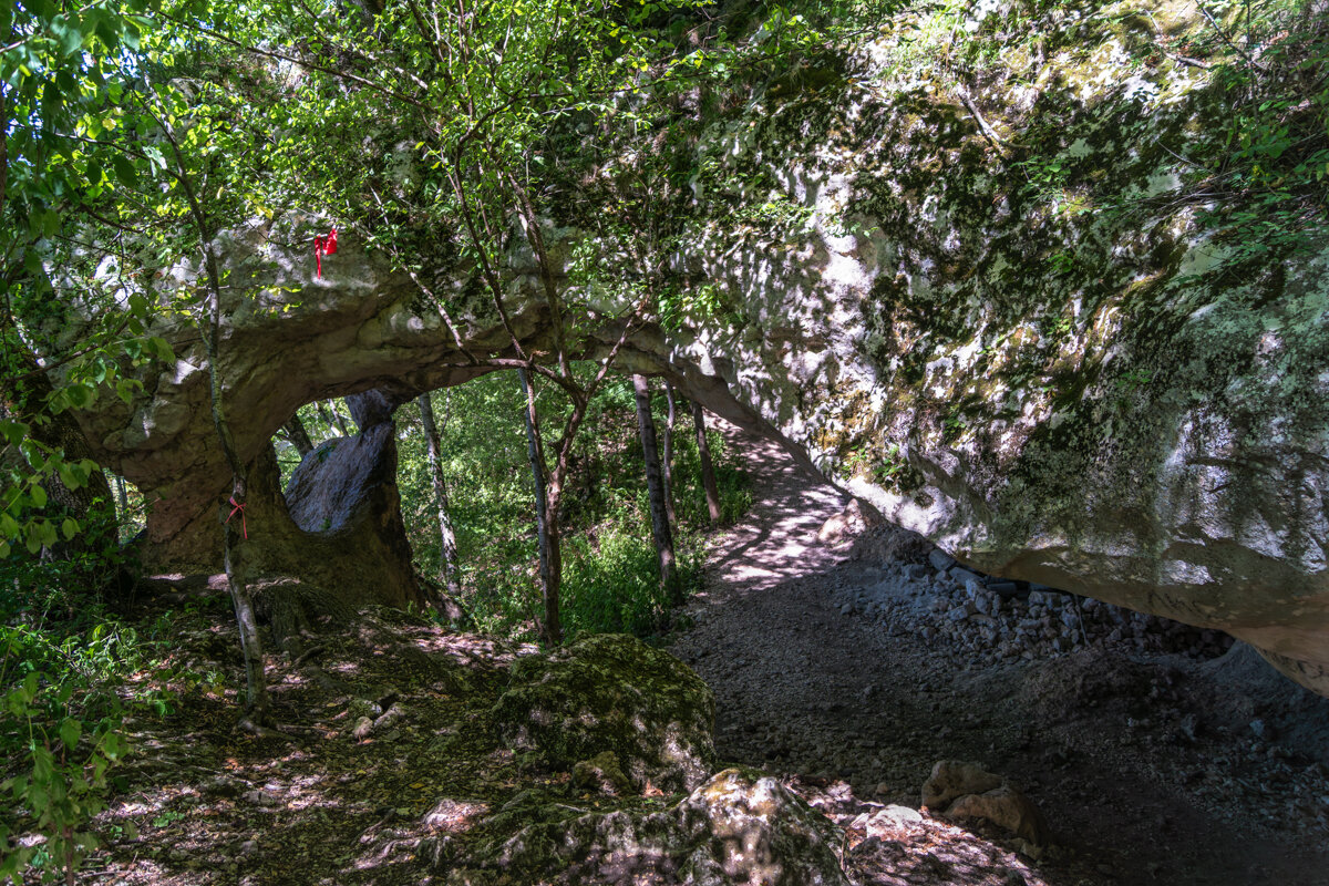 Поход в горы - Игорь Сикорский