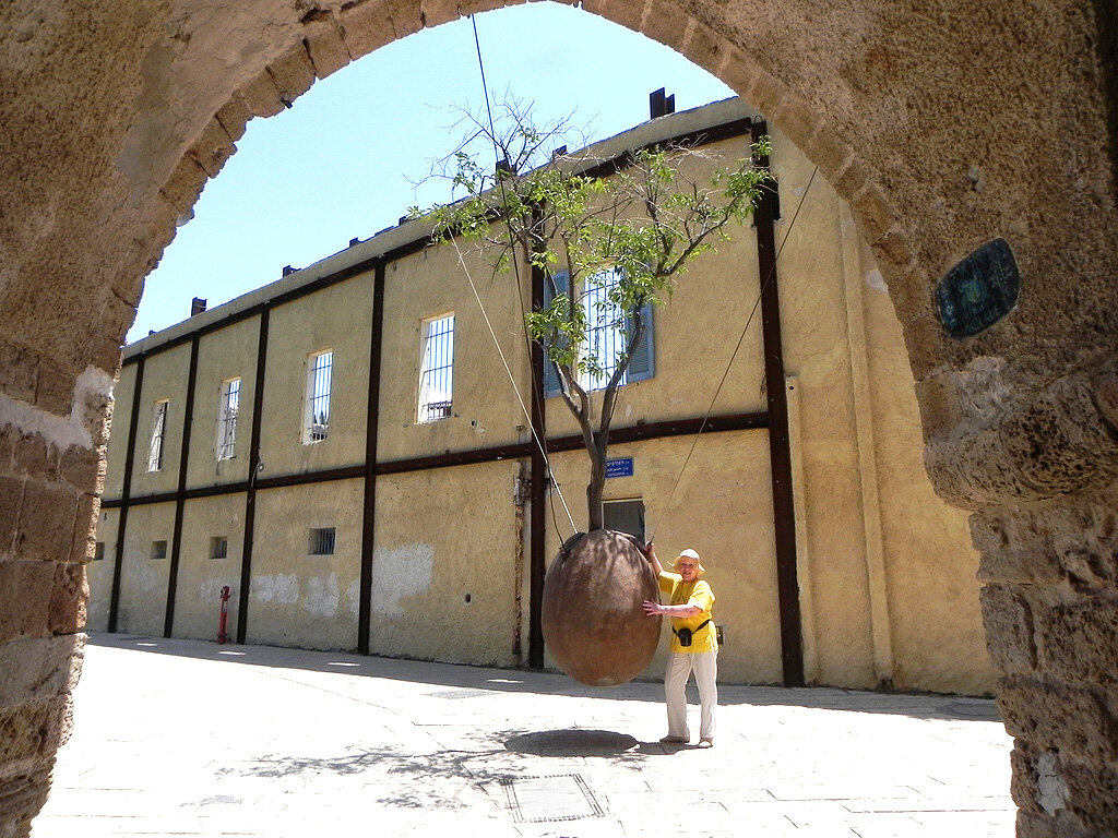 Висячее дерево в Старом Яффо - Алевтина 