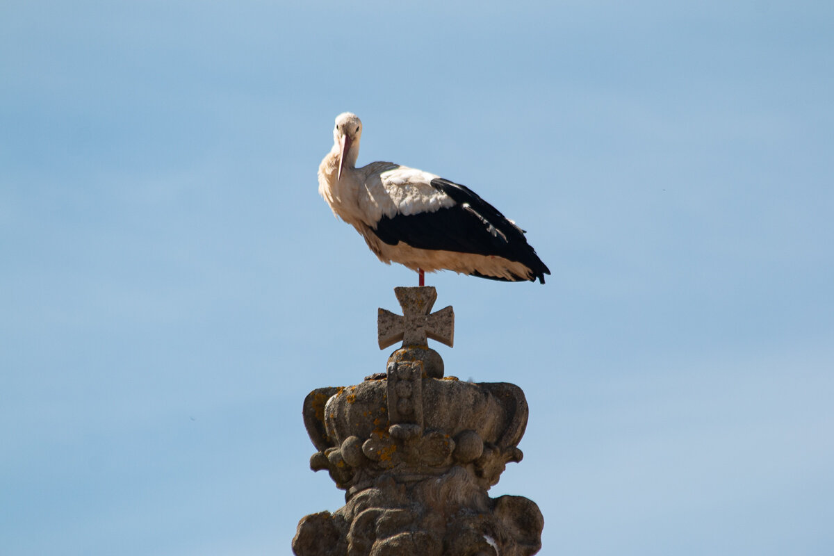 *** - Геннадий Порохов