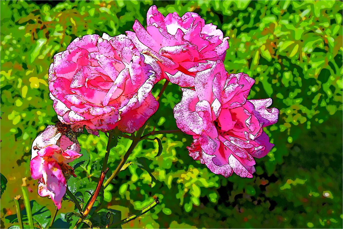 ПОДАРОК - Юрий Владимирович 34