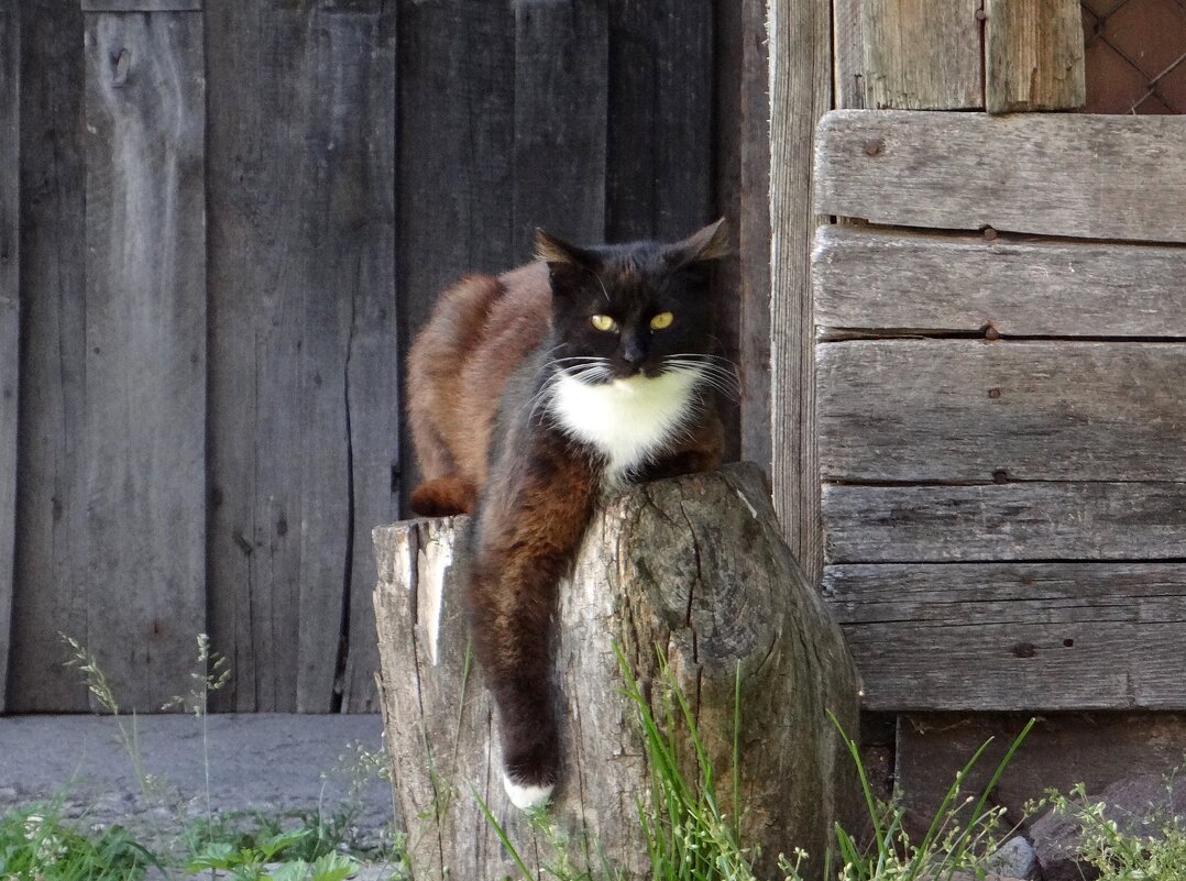 Кузьмич - Антонина Гугаева