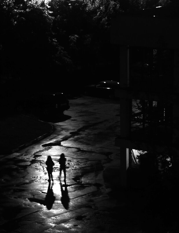 Двое и ночь. - Василий Палий