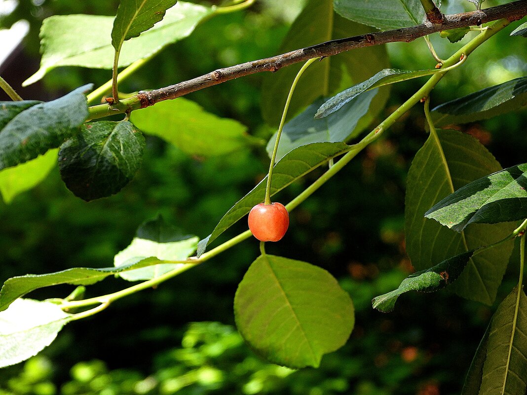 *** - Леонид leo