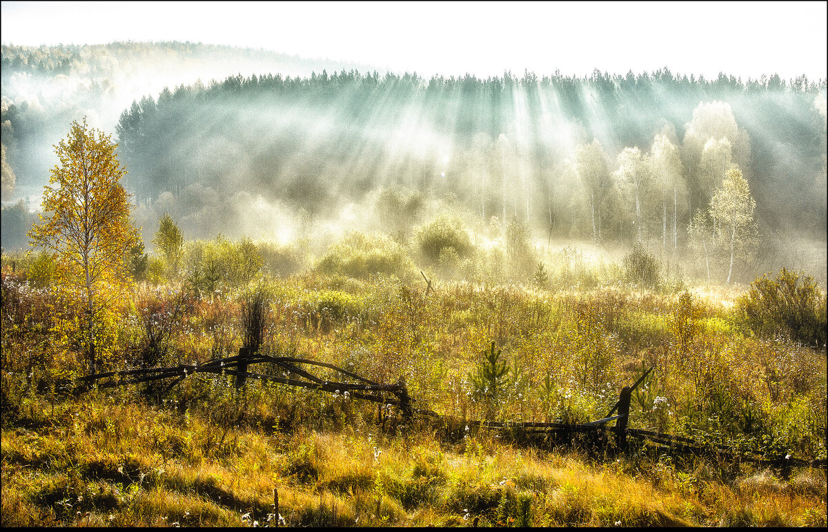 Ранняя осень - александр Ранняя осень - александр