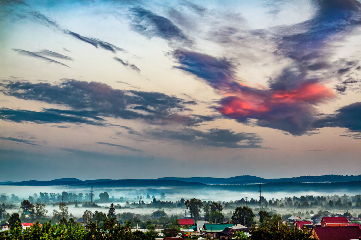 Птица - александр 