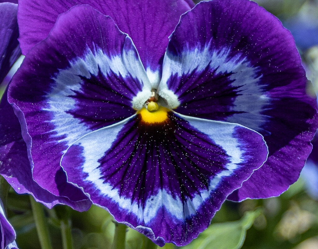 Ближняя галактика - игорь щелкалин Ближняя галактика - игорь щелкалин