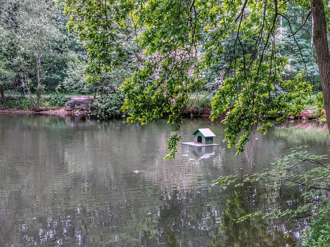 лесное озеро - Валентина. .