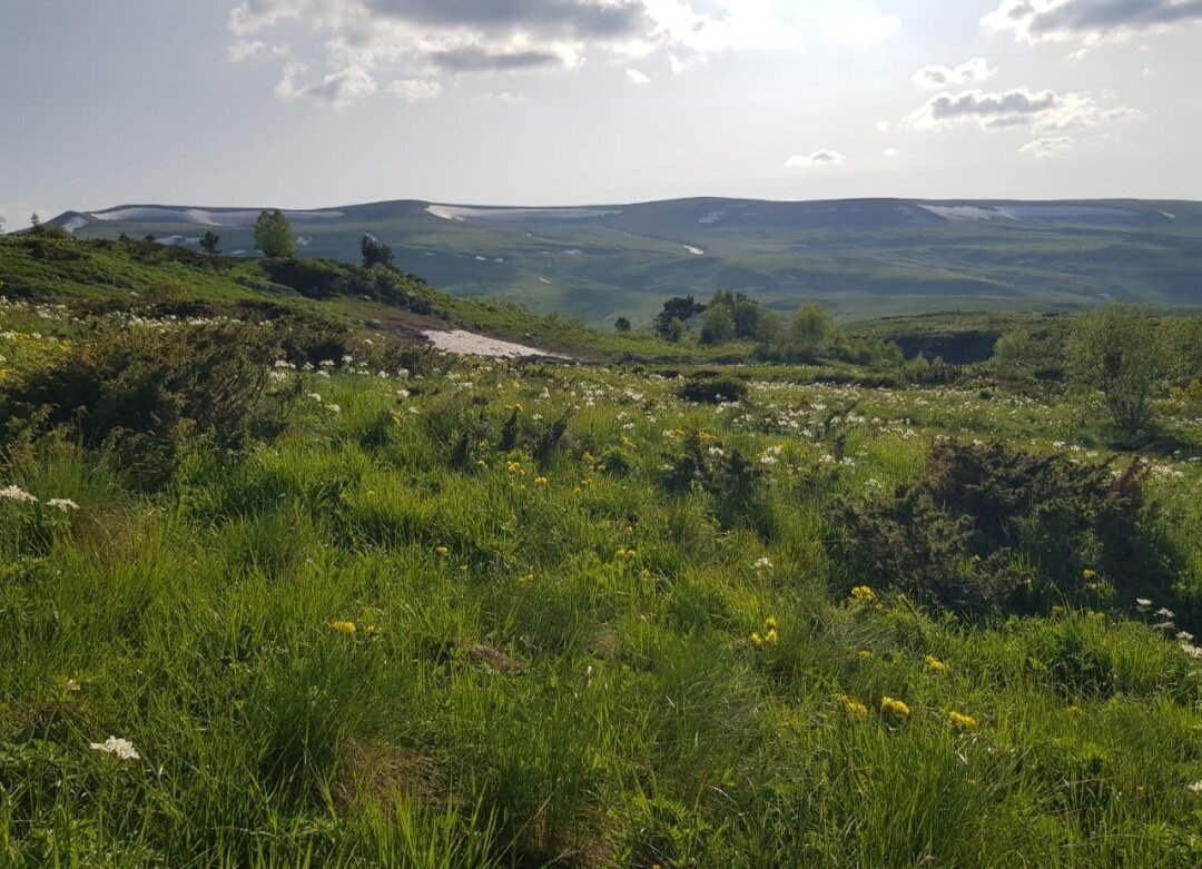 ПЛАТО ЛАГОНАКИ - Tata Wolf