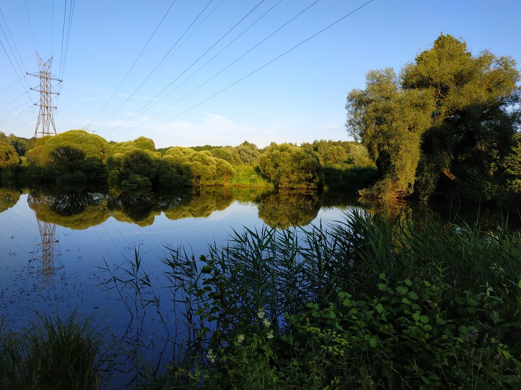 Пять прудов Измайловского парка - Андрей Лукьянов