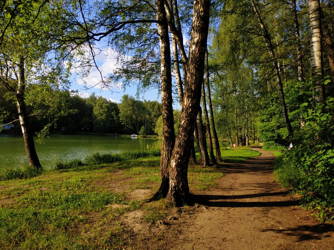 Пять прудов Измайловского парка - Андрей Лукьянов Пять прудов Измайловского парка - Андрей Лукьянов