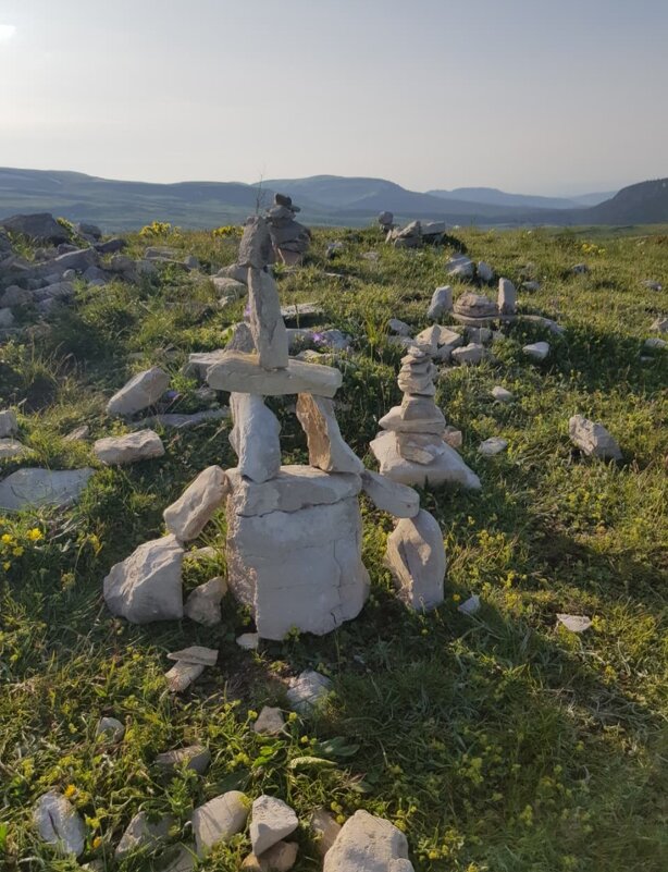 ПЛАТО ЛАГОНАКИ - Tata Wolf