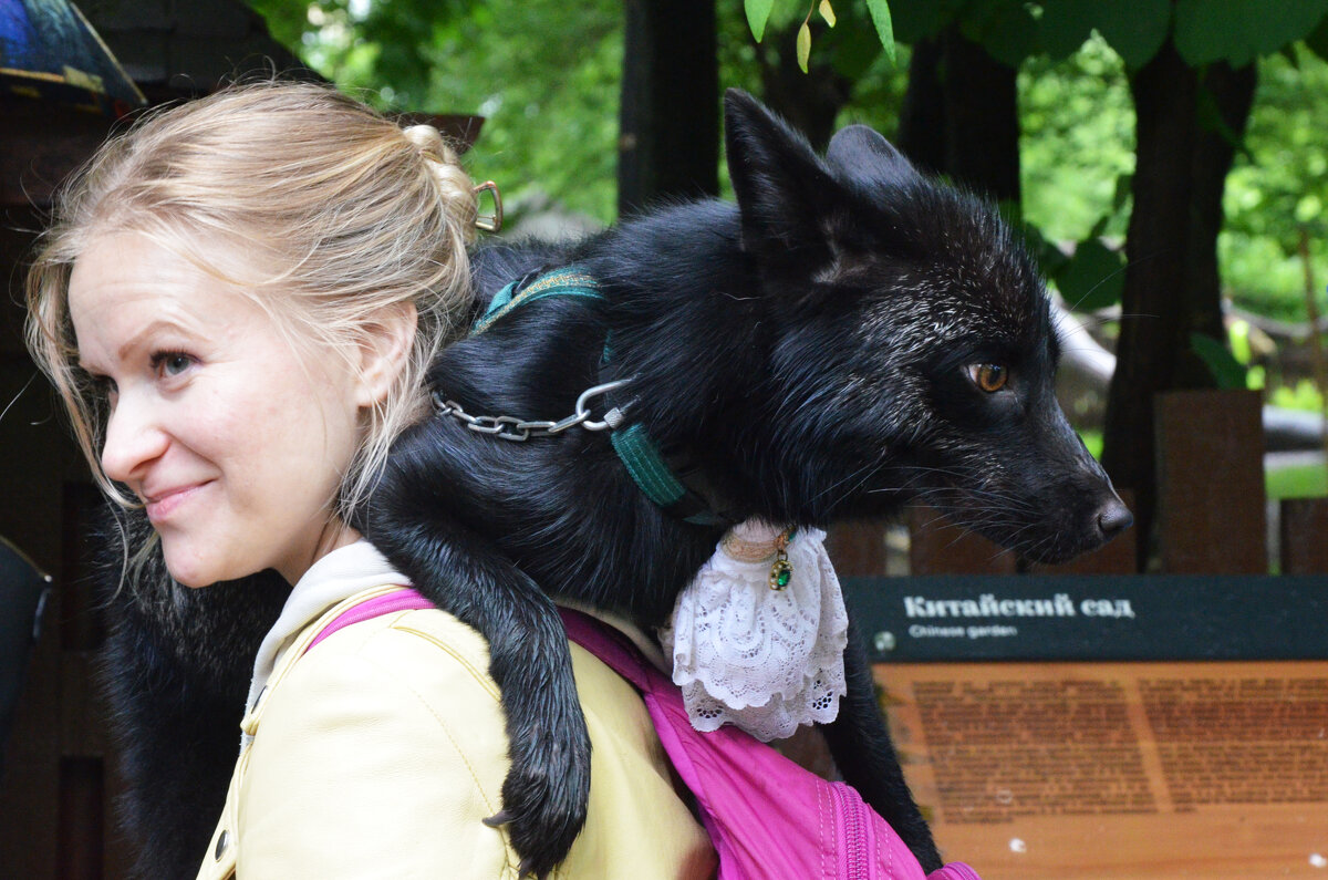 Москва. Воронцовский парк. Девушка с лисой. - Наташа *****