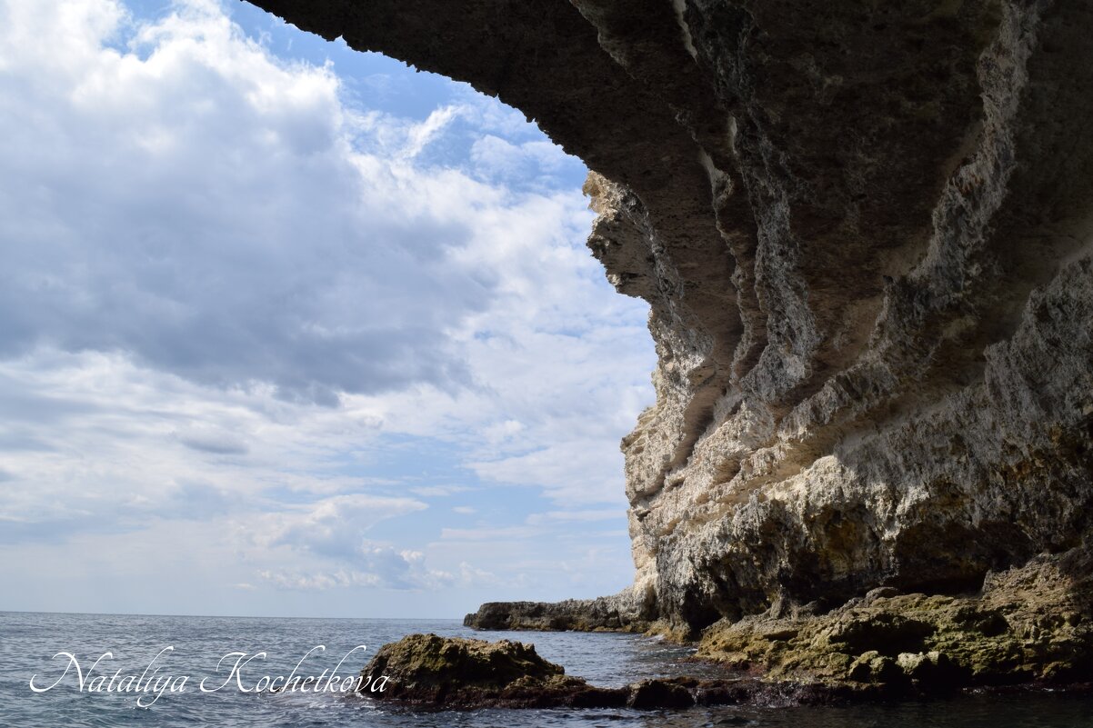 Природа Крыма - Amazing Cosmea