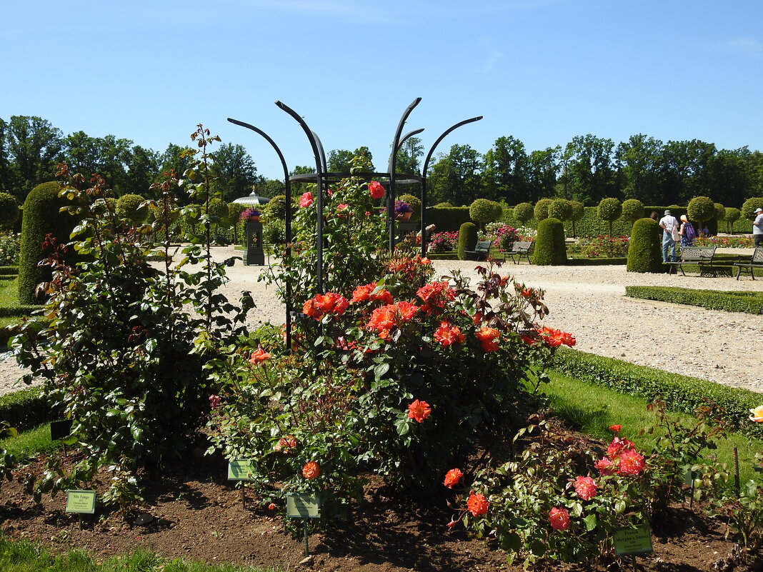 французский парк в Рундале - ИННА ПОРОХОВА