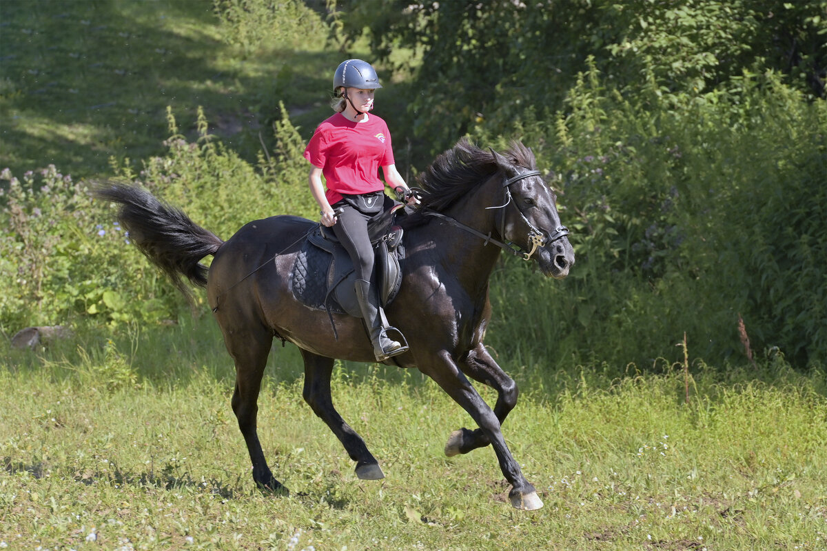аллюр три креста - cfysx 