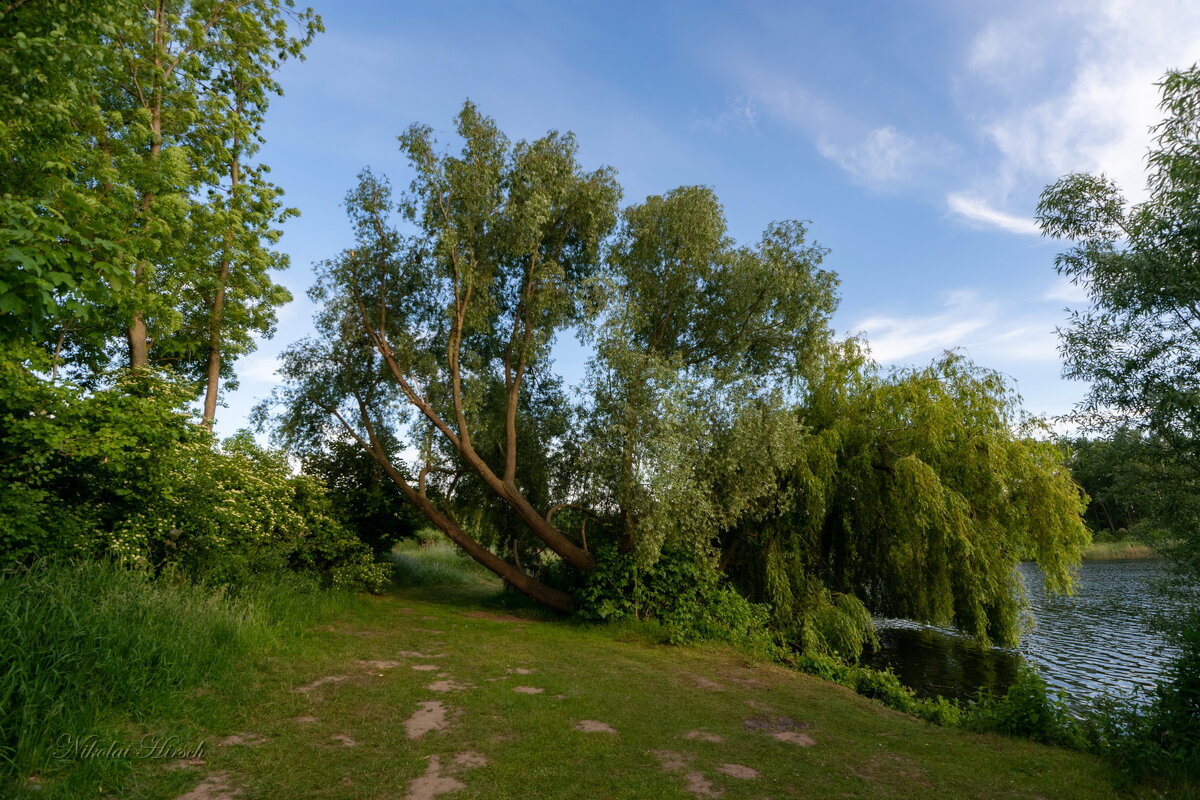 В конце весны... - Николай Гирш В конце весны... - Николай Гирш