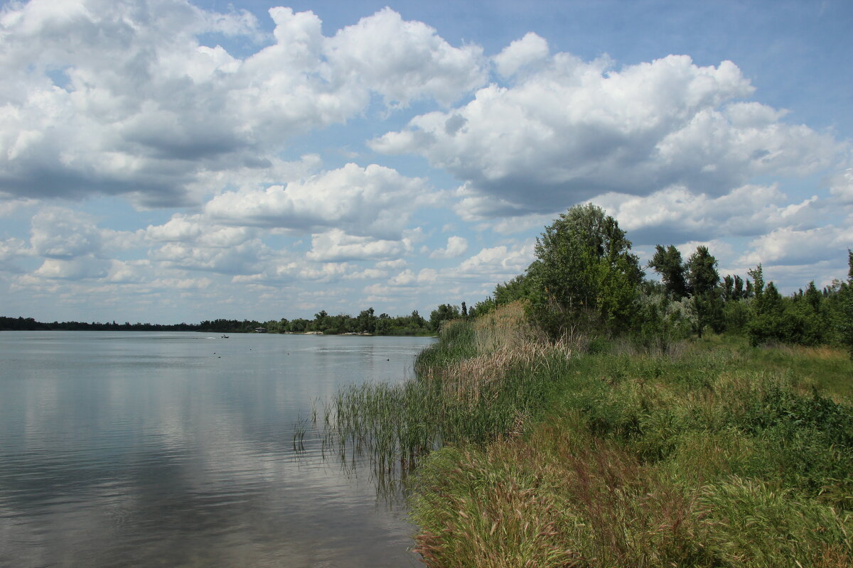 У Дона. - Виктор 