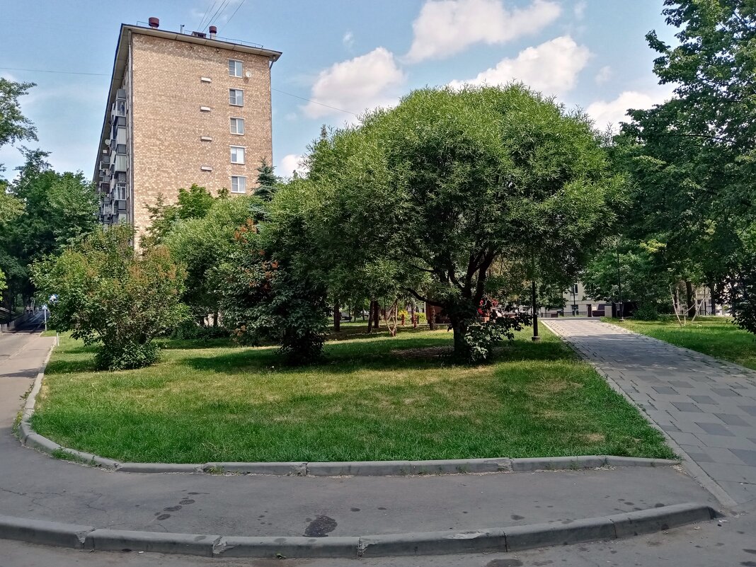 Московский двор. - Владимир Драгунский Московский двор. - Владимир Драгунский