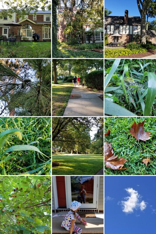 Мы в Нью Джерси - Светлана Хращевская