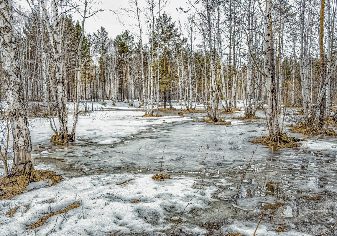 Весной в лесу - александр 